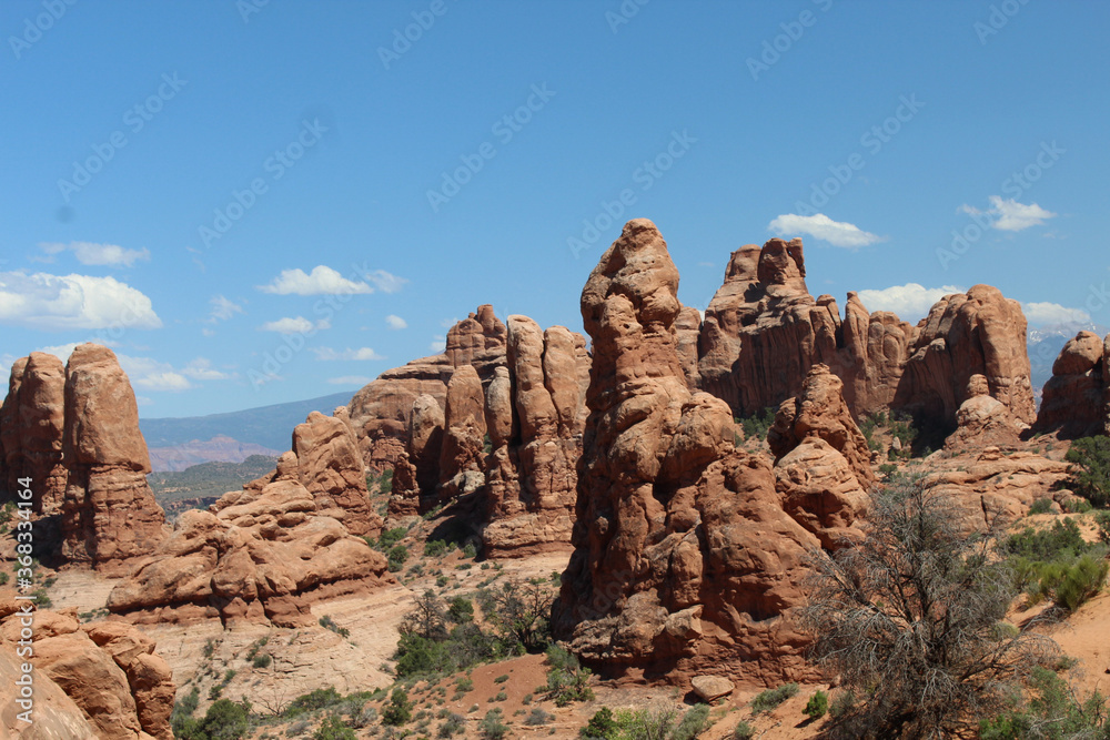 rock formations at arches national park in Moab, Utah