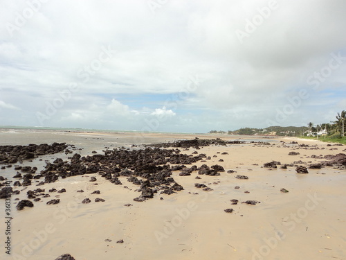 beach and sea