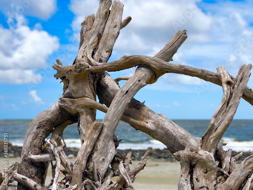 driftwood