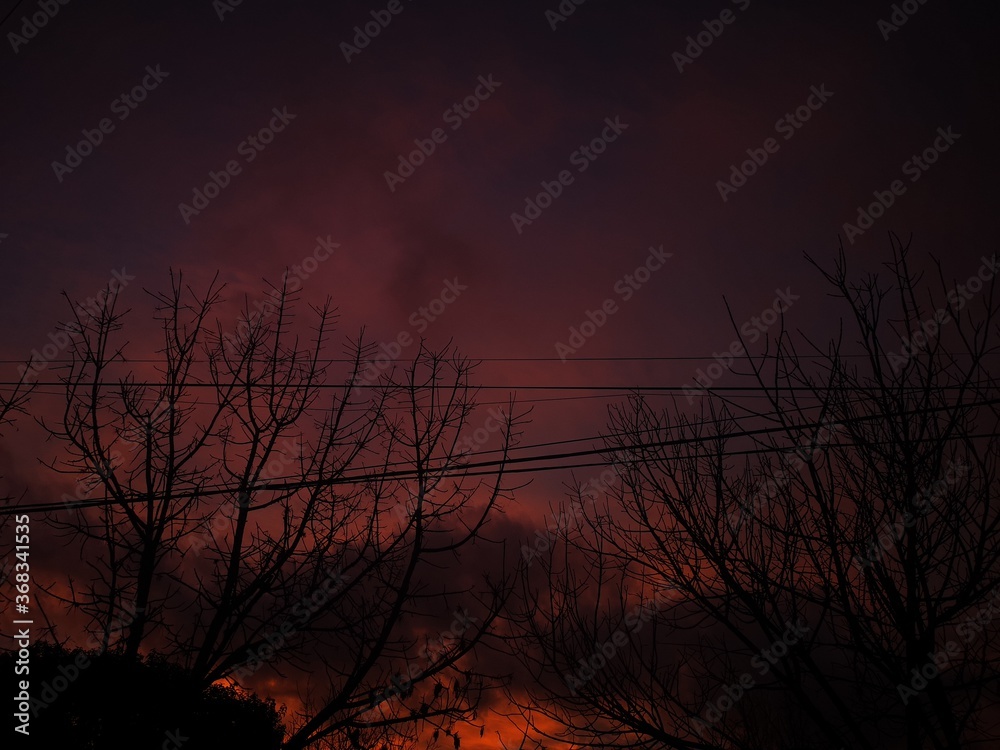 sunset with silhouette of trees sunset with silhouette of trees