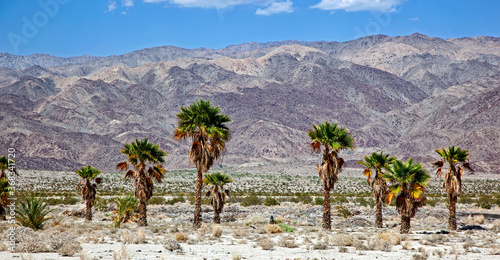 Desert landscape with the Indio Hills in the distance