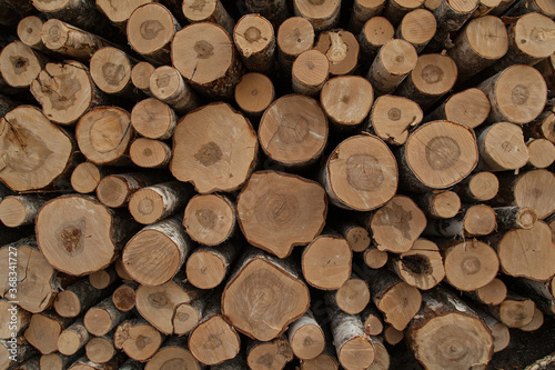 Pile of logs texture background