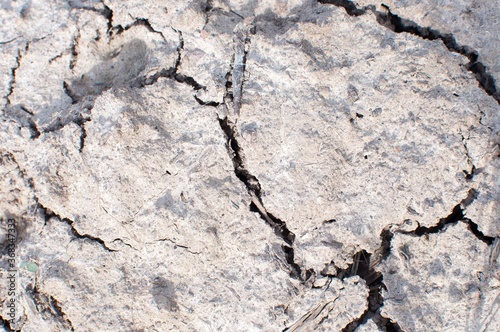 Dry cracked earth texture or background. Close up. © Oksana Maslova