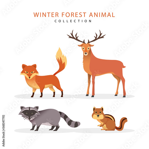 Flat winter animal collection
