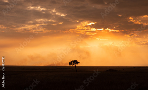Sunset at Masai Mara, Kenya