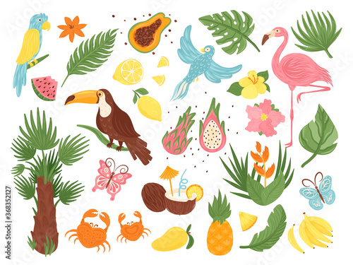 Cartoon tropical exotic elements vector illustration set. Flat collection with jungle bird, palm tree leaves and flowers, coconut fruit. Cute exotica from tropics, floral animal icon isolated on white