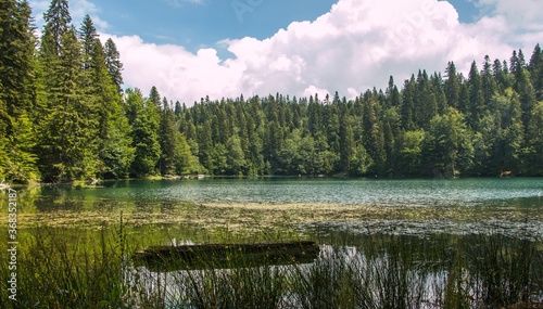Beautiful view on the mountain lake at summer. Zabojsko lake in Montenegro © mystockvideo/photo