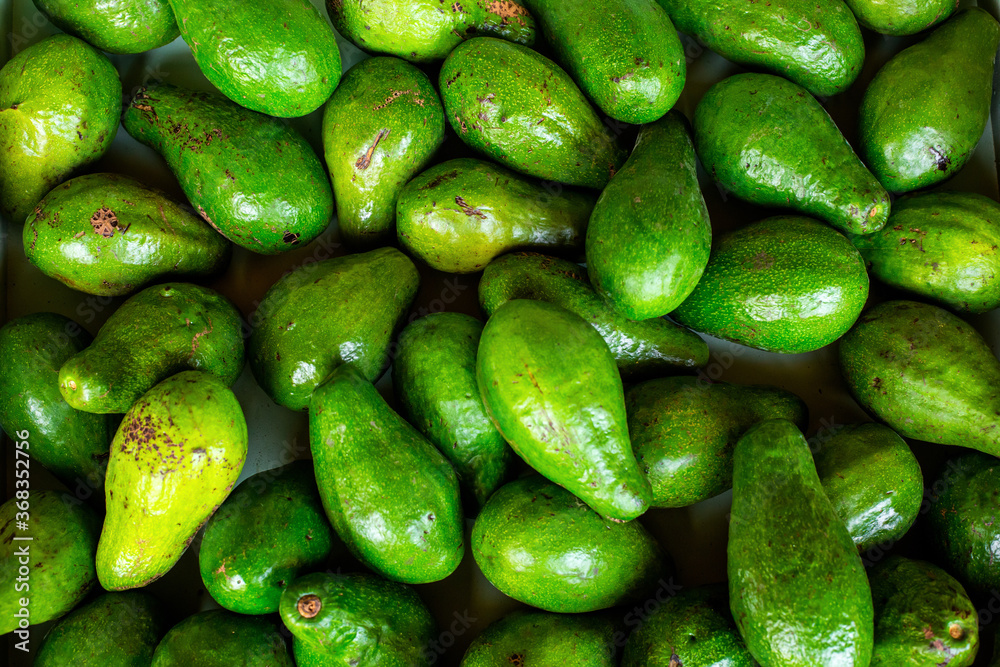 Close up of many green avocado fruits in a street shop. Top view. Fresh fruits and vegetables background Close up of many green avocado fruits in a street shop. Top view. Fresh fruits and vegetables background