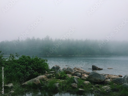 misty morning on the river