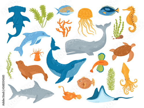 Ocean and sea animals and fish  set of isolated vector illustrations. Marine sea underwater creatures and mammals  whale  shark  dolphin and jellyfish  turtle   seahorse. Aquarium sea animals.