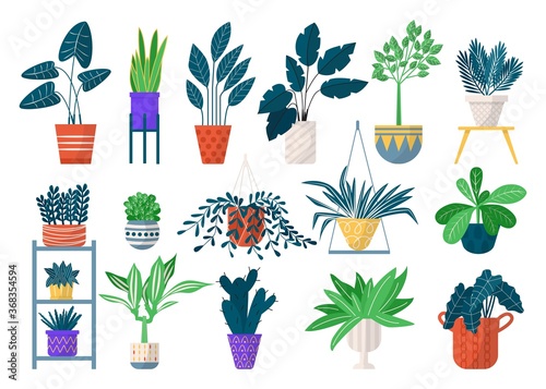 Green houseplants in pots icon set of isolated vector illustrations. Home pla...