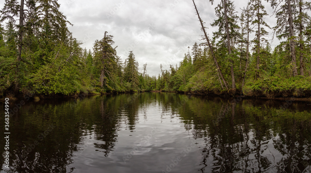 Panoramic View of a River near the Pacific Ocean with green trees during a cloudy day. Taken in Raft Cove, Northern Vancouver Island, British Columbia, Canada.