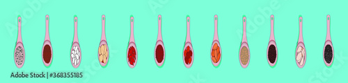 set of rice in wooden scoop