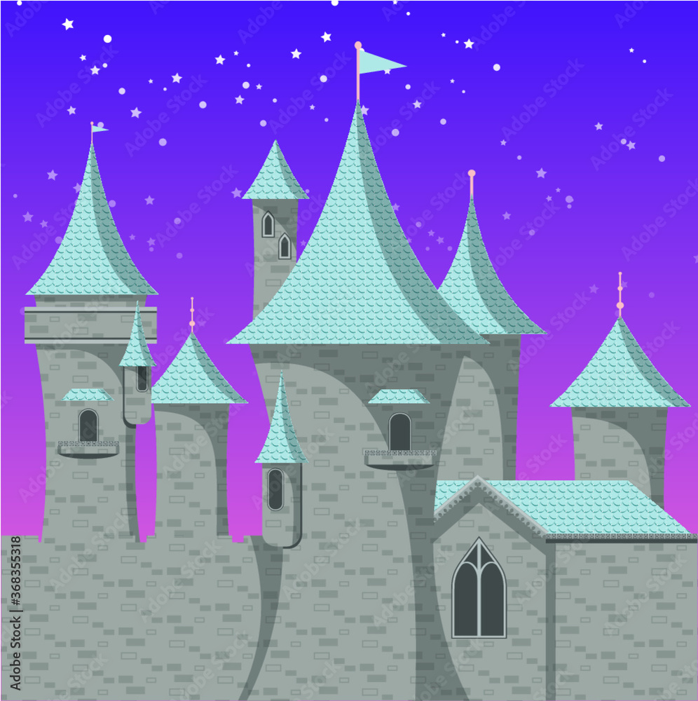 Fototapeta premium castle in the night