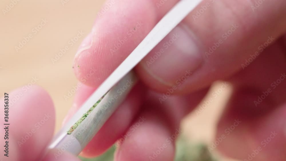 Close up of male finger rolling a medical marijuana joint shot in 4k super slow motion Close up of male finger rolling a medical marijuana joint shot in 4k super slow motion
