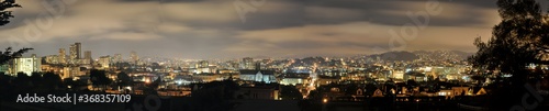 Panoramic Skyline Photo - San Francisco © charliewinters