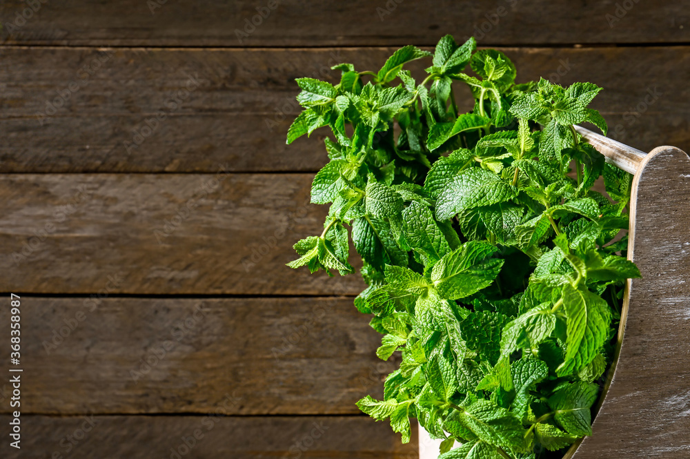 Fresh green mint in basket on wooden background Fresh green mint in basket on wooden background