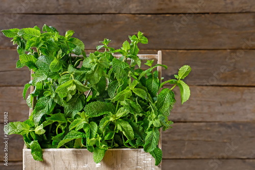 Fresh green mint in basket on wooden background