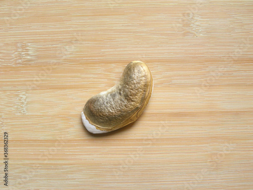 Brown color dried mango seed