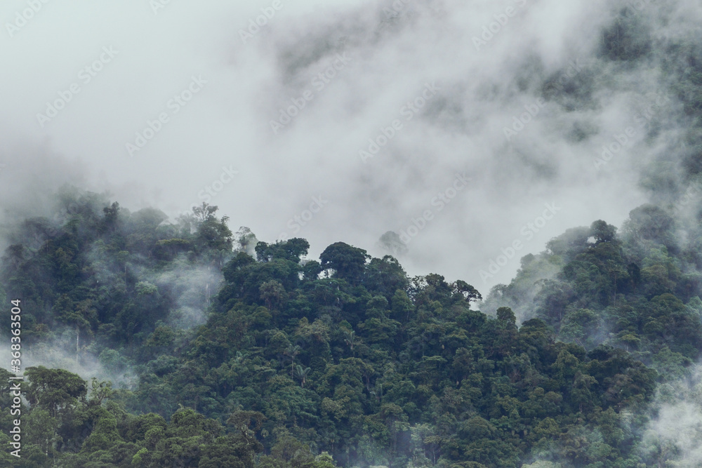 Paisaje de las montañas del bosque lluvioso en piedemonte andino amazónico en Colombia. Montañas de Suramérica con neblina. Bosque tropical generando oxígeno.