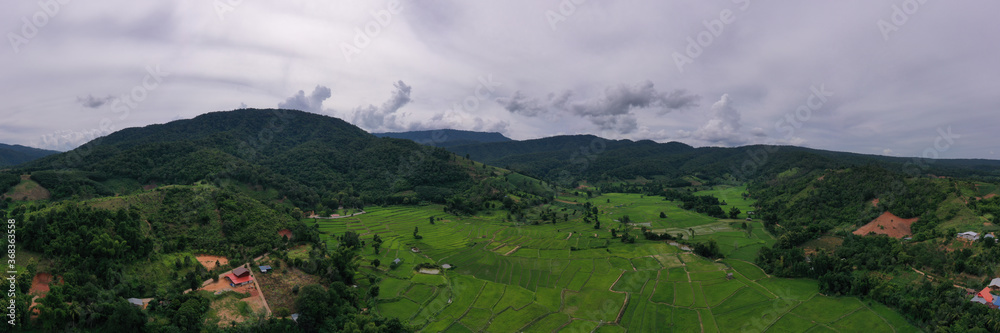 Terraced rice fields, Na Haeo District, Loei Province, Thailand