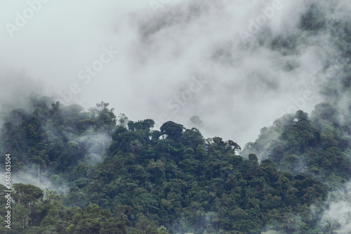 Paisaje de las montañas del bosque lluvioso en piedemonte andino amazónico en Colombia. Montañas de Suramérica con neblina. Bosque tropical generando oxígeno. © Camilo