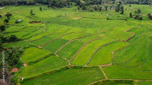 Terraced rice fields, Na Haeo District, Loei Province, Thailand