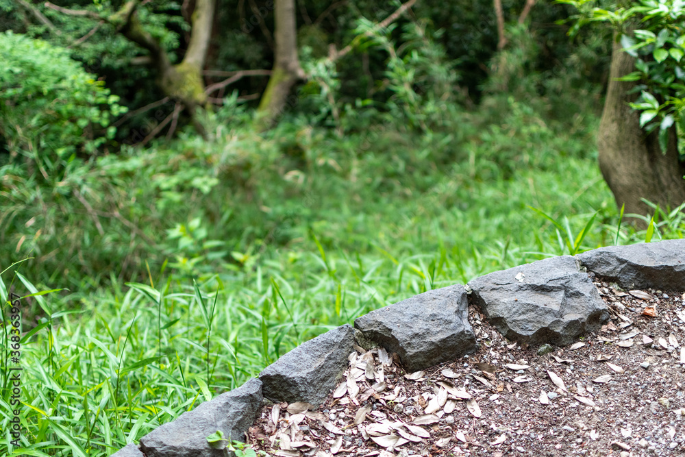 Obraz premium 境界