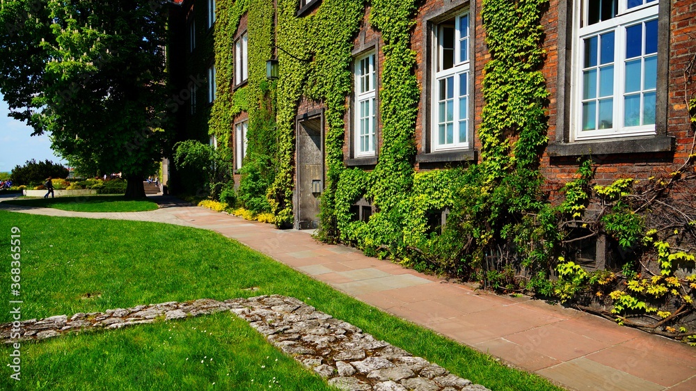 Obraz premium Greenery architecture - ornamental plants and creepers, decorating space and buildings