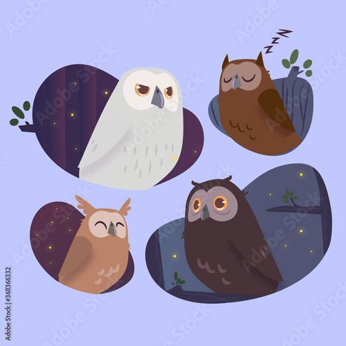 Night owl collection