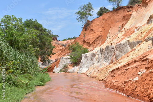 Fairy Stream Detail 3 with Trees, Rock Wall, and Sandy Red Water, Mui Ne, Vietnam