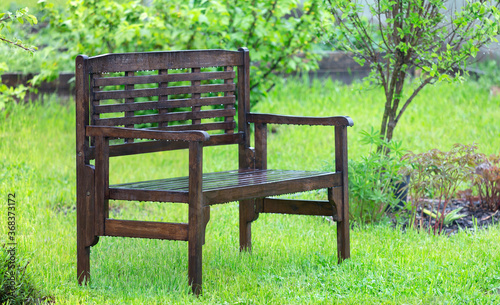 The wooden bench in the rain on the background of fresh greenery