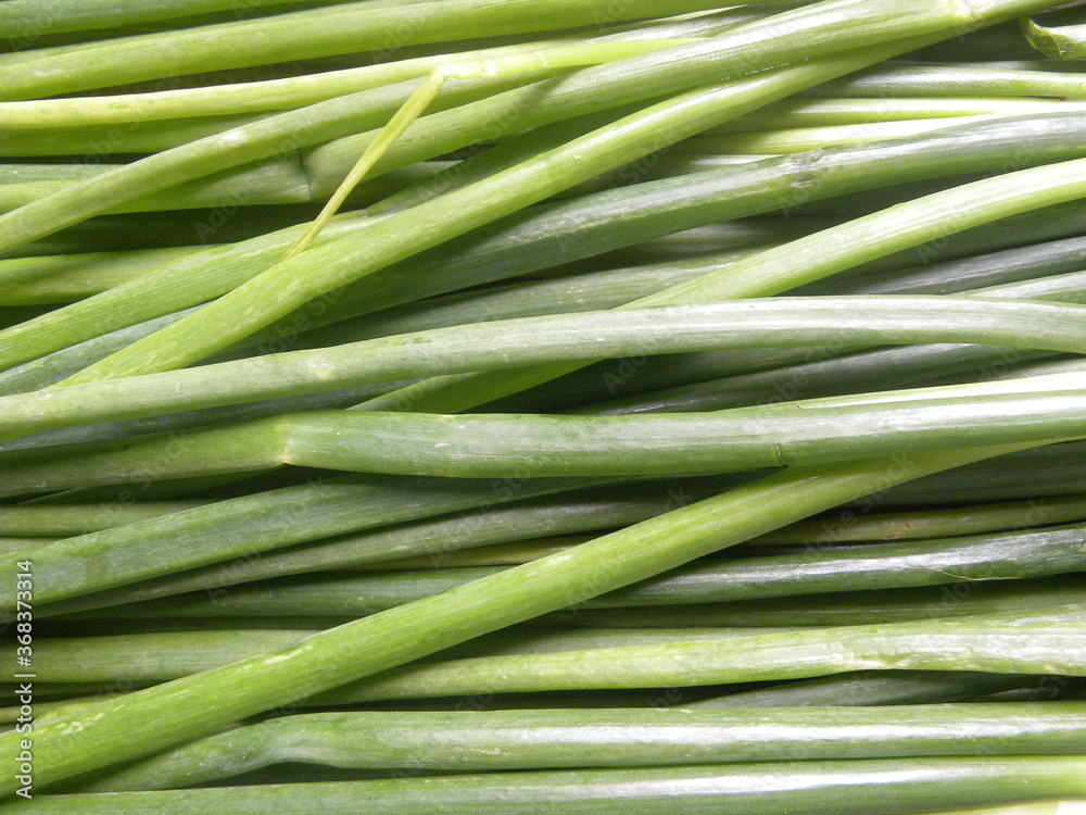 Green color raw whole fresh Scallion leaves Green color raw whole fresh Scallion leaves