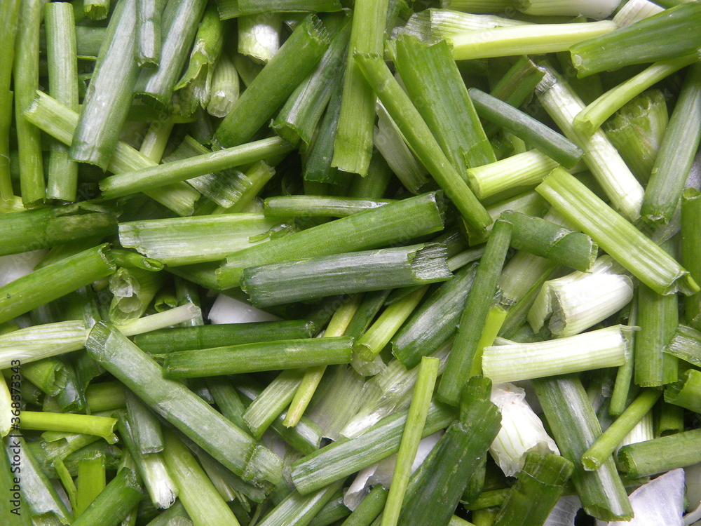 Chopped green color raw fresh Scallions Chopped green color raw fresh Scallions