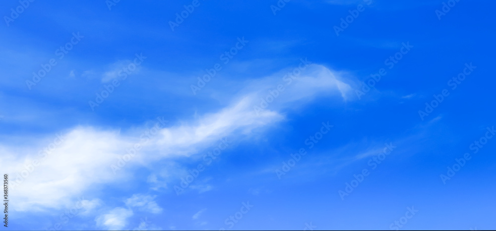 blue sky with beautiful natural white clouds
blue sky with beautiful natural white clouds