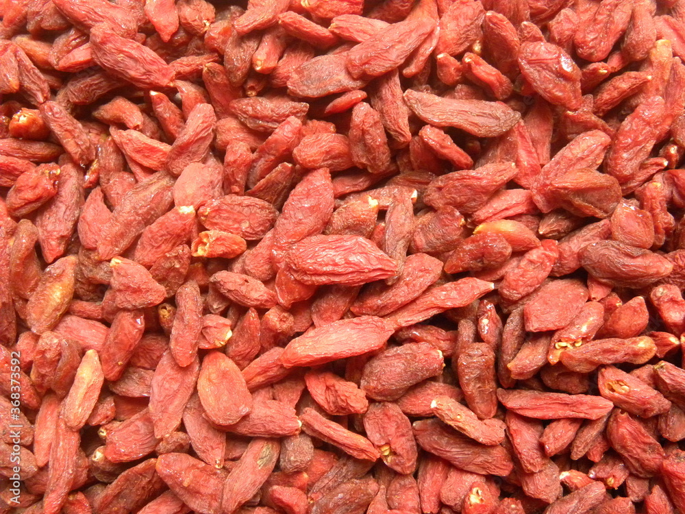 Red color raw whole dried Goji berry Red color raw whole dried Goji berry