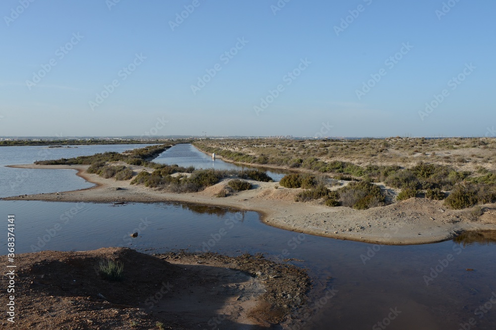 Swampy area of Salinas y Arenales de San Pedro del Pinatar. Spain Swampy area of Salinas y Arenales de San Pedro del Pinatar. Spain