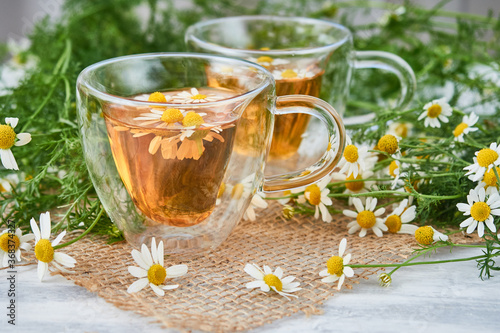 Two glass cups of tea with chamomile, scattered chamomile flowers on a piece of burlap.