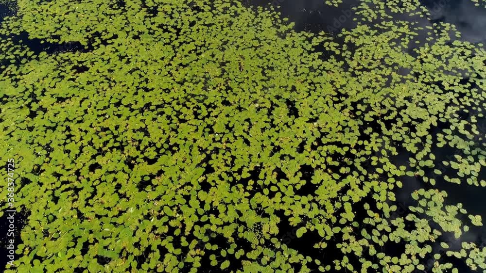 Aerial view revealing the surrounding landscape. Aerial view revealing the surrounding landscape.