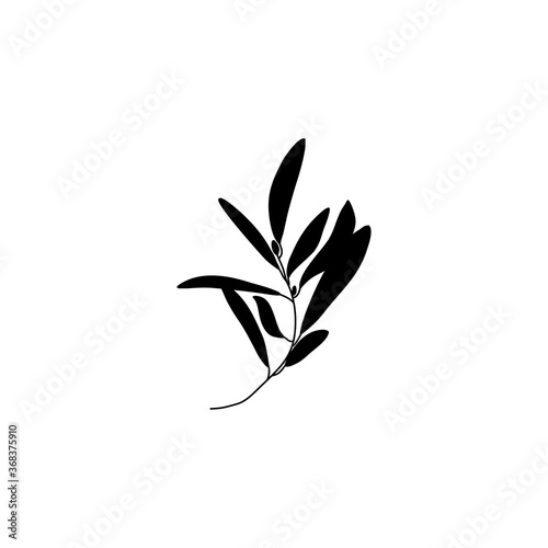 Silhouette Olive Branch with leaves. Outline Botanical leaves In a Modern Minimalist Style. Vector Illustration.