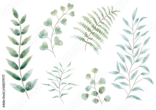 植物の水彩イラストセット