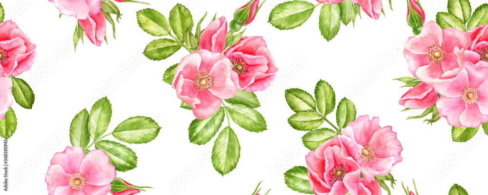 watercolor seamless pattern with drawing flowers of wild roses