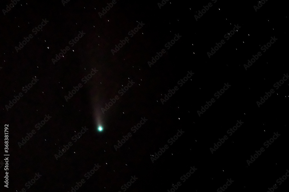 Neowise comet C/2020 F3 (NEOWISE) on starry sky Neowise comet C/2020 F3 (NEOWISE) on starry sky