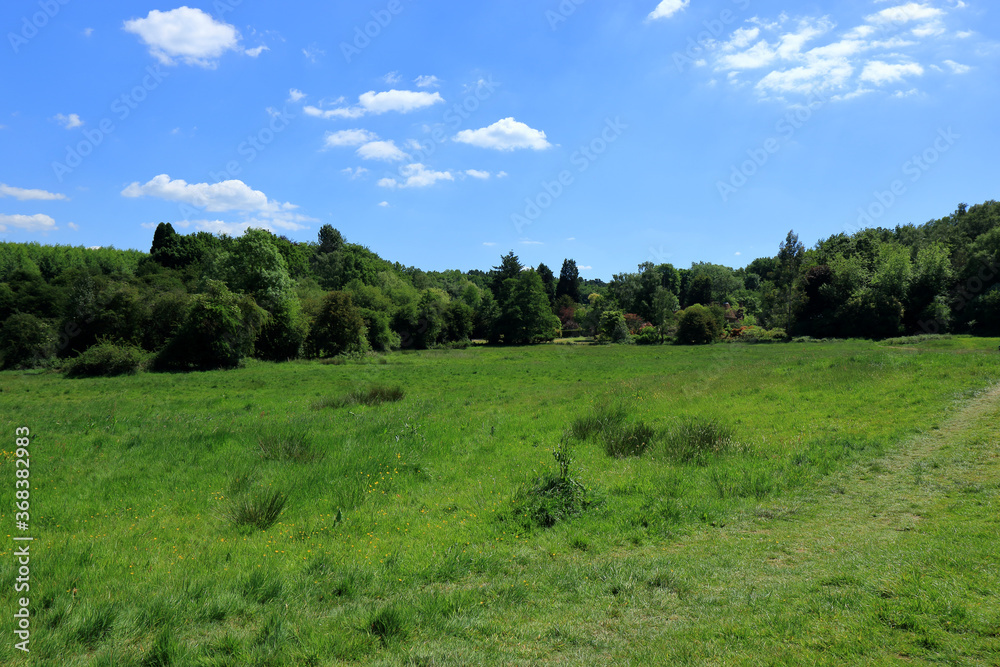 A view of the beautiful Westerham countryside A view of the beautiful Westerham countryside