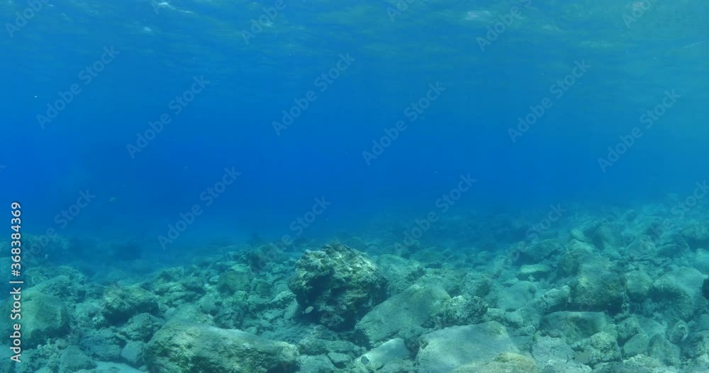 sun beams sun rays sun shine underwater nice light slow moving at the sandy bottom reflections relaxing ocean scenery sun beams sun rays sun shine underwater nice light slow moving at the sandy bottom reflections relaxing ocean scenery