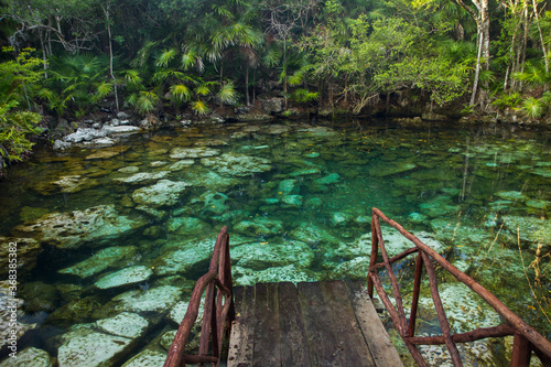 Tropical paradise. Wooden gangway leading to an emerald color water cenote in the jungle. Beautiful flora foliage and texture surroundings. Transparent natural pond with rocks in the bed.