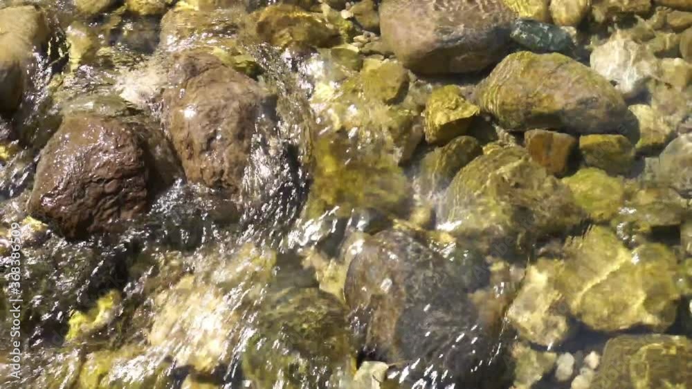 A rapid current of the mountain river. Clean, cold transparent water sparkles in the sun.