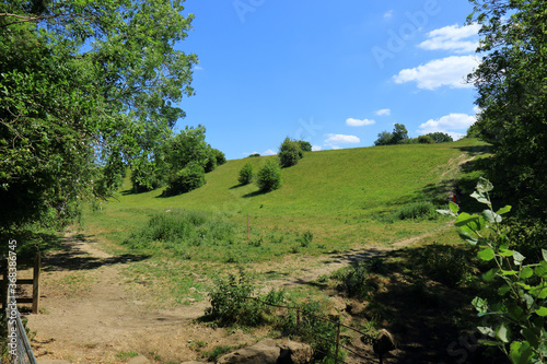 Trees on the hillside in Westerham photo