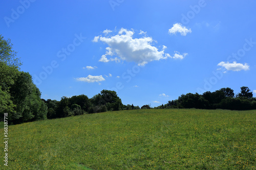 A landscape scene of the hilly fields and woodlands around Westerham photo