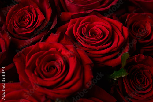 Red roses. Bouquet of flowers.